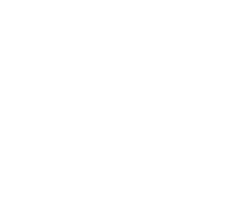 TNT Logo